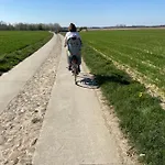 Sakura * Bossut-Gottechain