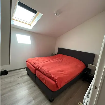 Sakura * Bossut-Gottechain